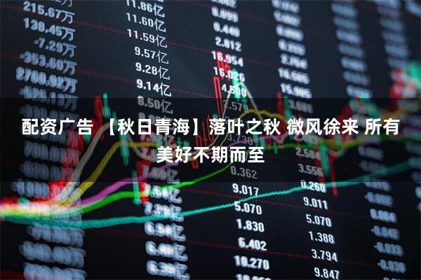 配资广告 【秋日青海】落叶之秋 微风徐来 所有美好不期而至